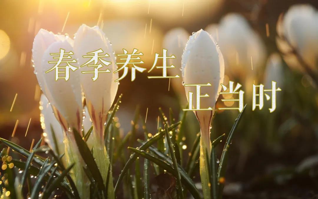 春天艾灸，陽上增陽，這些技巧別錯過！